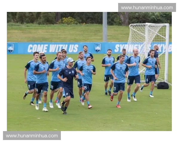 悉尼足球联赛全景深度解析：揭示球队竞争格局与未来发展的新趋势